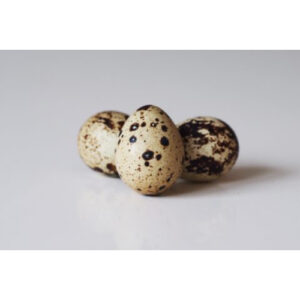 Quial Eggs