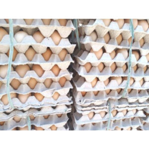 Desi Eggs