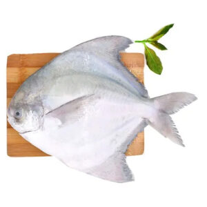 Chinese Pomfret ( Kafri ) Whole/Slice/ 4 Pcs/kg