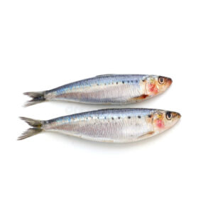 Fresh Sardine ( Tarli/Matti ) Whole /Scaled/8/12 Pcs /Kg