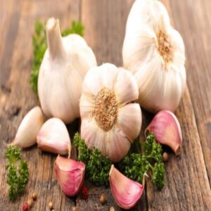 Garlic