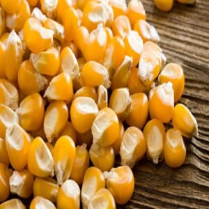 CORN