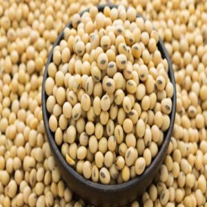 SOYA BEAN