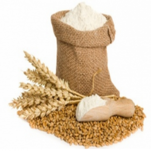 WHEAT FLOUR